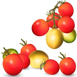 番茄蔬菜素材